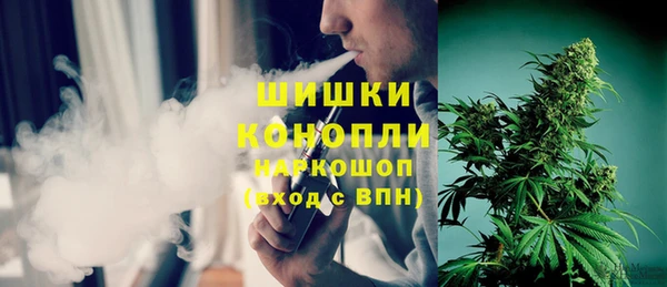 apvp Богданович