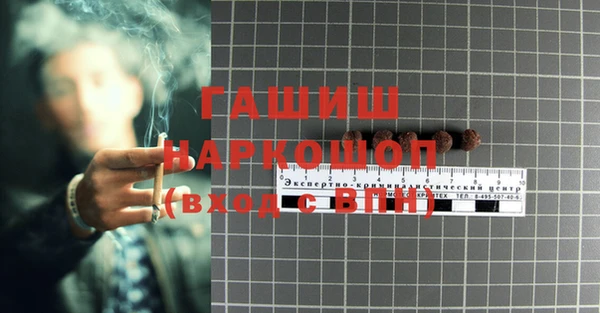 эйфоретик Бородино